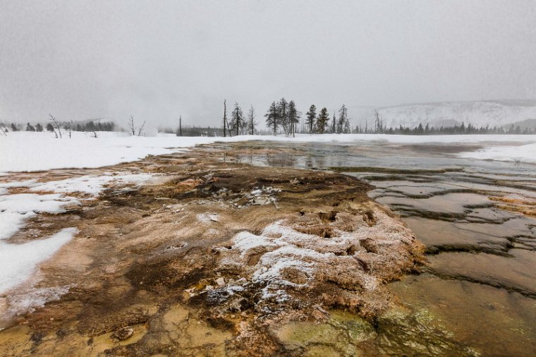 40 Yellowstone NP.jpg